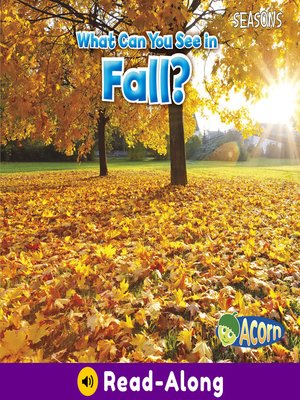 cover image of What Can You See in Fall?